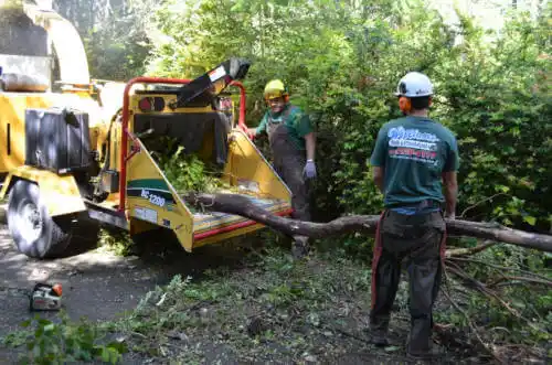 tree services Robertsdale